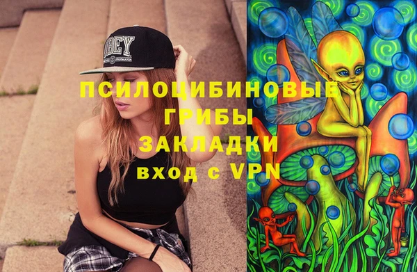 a pvp Алексин