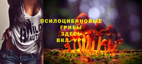амфетамин Алексеевка