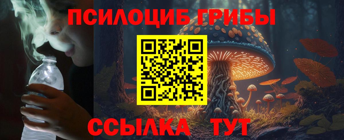 Псилоцибиновые грибы ЛСД  Вход с VPN  Псилоцибиновые грибы MAGIC MUSHROOMS  Лиски 